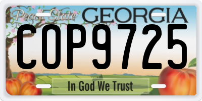 GA license plate COP9725