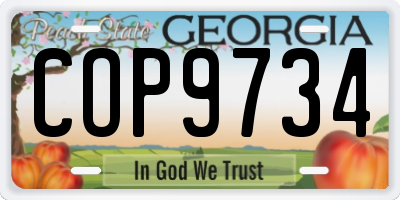 GA license plate COP9734