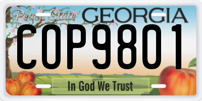 GA license plate COP9801