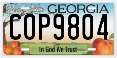 GA license plate COP9804