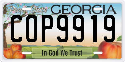 GA license plate COP9919