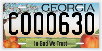 GA license plate COQ0630