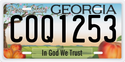 GA license plate COQ1253
