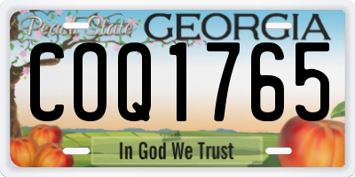 GA license plate COQ1765