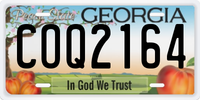 GA license plate COQ2164