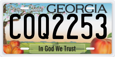 GA license plate COQ2253