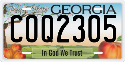 GA license plate COQ2305