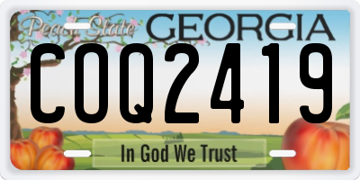 GA license plate COQ2419
