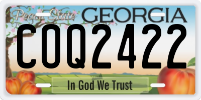 GA license plate COQ2422