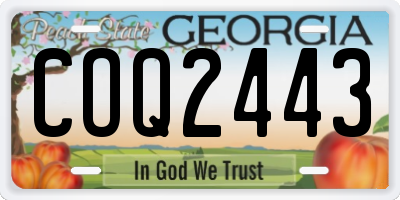 GA license plate COQ2443