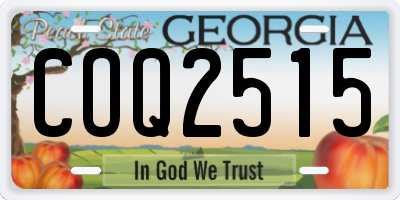 GA license plate COQ2515