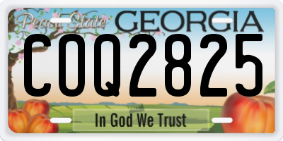 GA license plate COQ2825