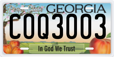 GA license plate COQ3003