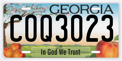 GA license plate COQ3023