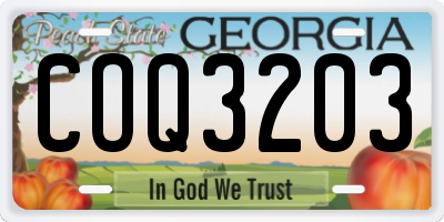 GA license plate COQ3203