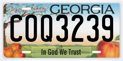 GA license plate COQ3239