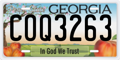 GA license plate COQ3263