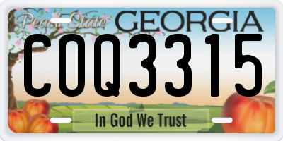 GA license plate COQ3315