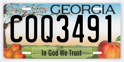 GA license plate COQ3491