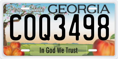 GA license plate COQ3498
