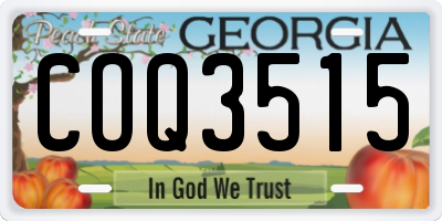GA license plate COQ3515