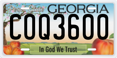 GA license plate COQ3600