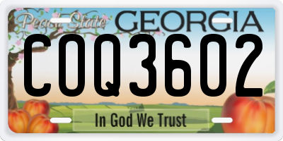 GA license plate COQ3602