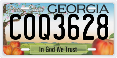 GA license plate COQ3628