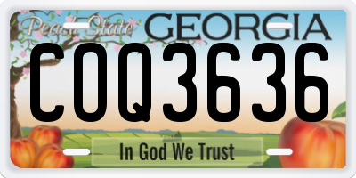 GA license plate COQ3636