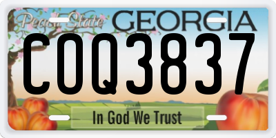 GA license plate COQ3837
