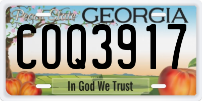 GA license plate COQ3917