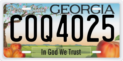 GA license plate COQ4025