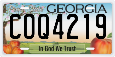 GA license plate COQ4219