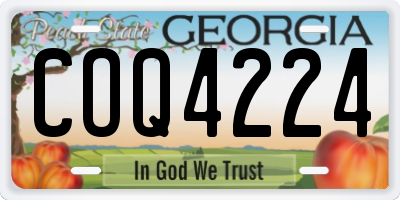 GA license plate COQ4224