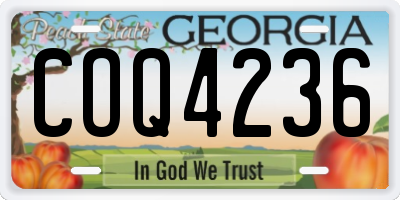 GA license plate COQ4236
