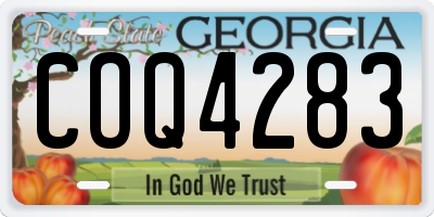 GA license plate COQ4283