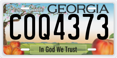 GA license plate COQ4373