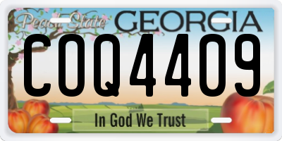 GA license plate COQ4409
