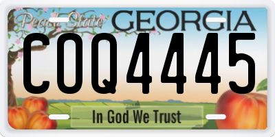GA license plate COQ4445