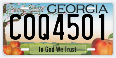 GA license plate COQ4501