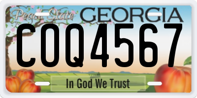 GA license plate COQ4567