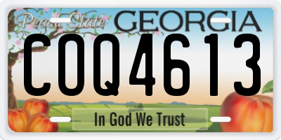 GA license plate COQ4613