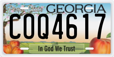 GA license plate COQ4617