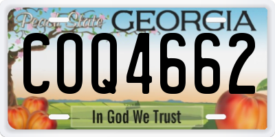 GA license plate COQ4662