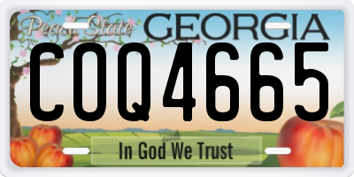 GA license plate COQ4665