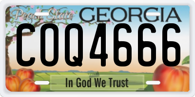GA license plate COQ4666