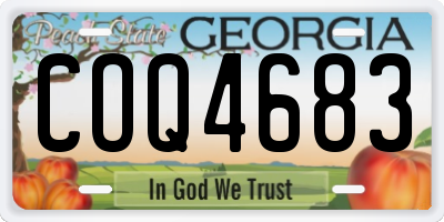 GA license plate COQ4683
