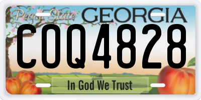 GA license plate COQ4828