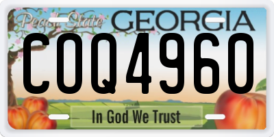 GA license plate COQ4960