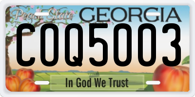 GA license plate COQ5003